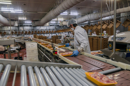 Muslim woman workers working in a chicken meat plant.